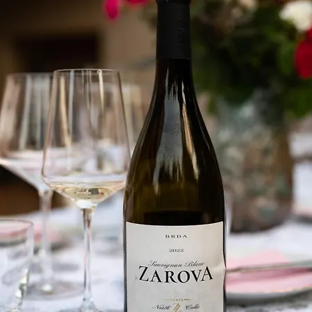 Zarova Apartment With Wine Tasting Experience Kojsko Exterior photo