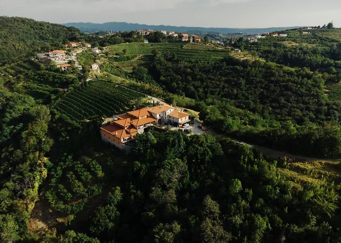Zarova Apartment With Wine Tasting Experience
