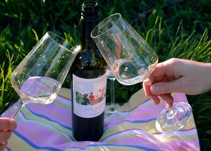 Zarova Apartment With Wine Tasting Experience