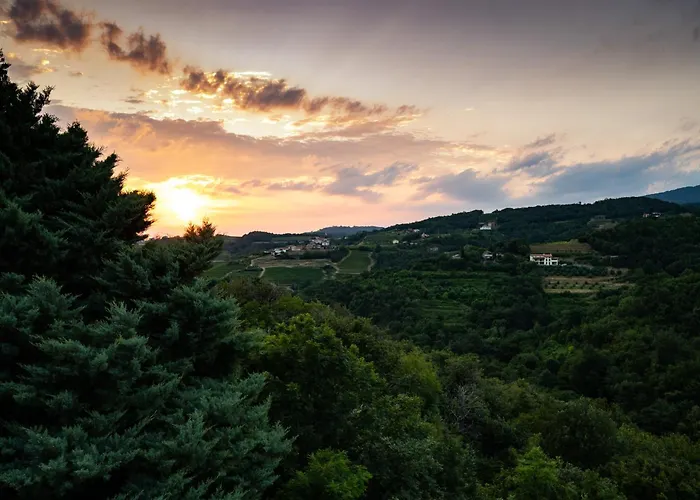 Zarova Apartment With Wine Tasting Experience