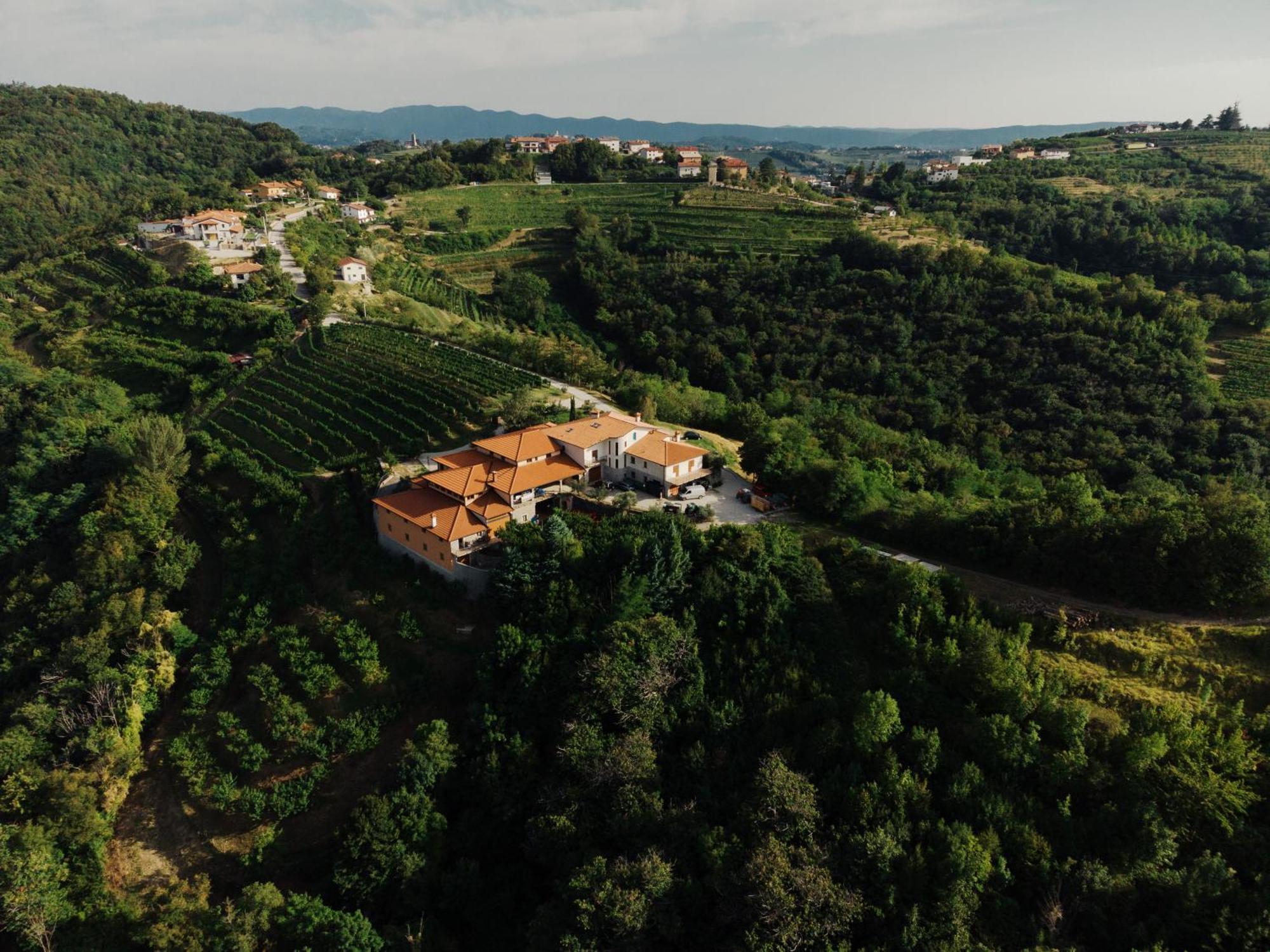 Zarova With Wine Tasting Experience *