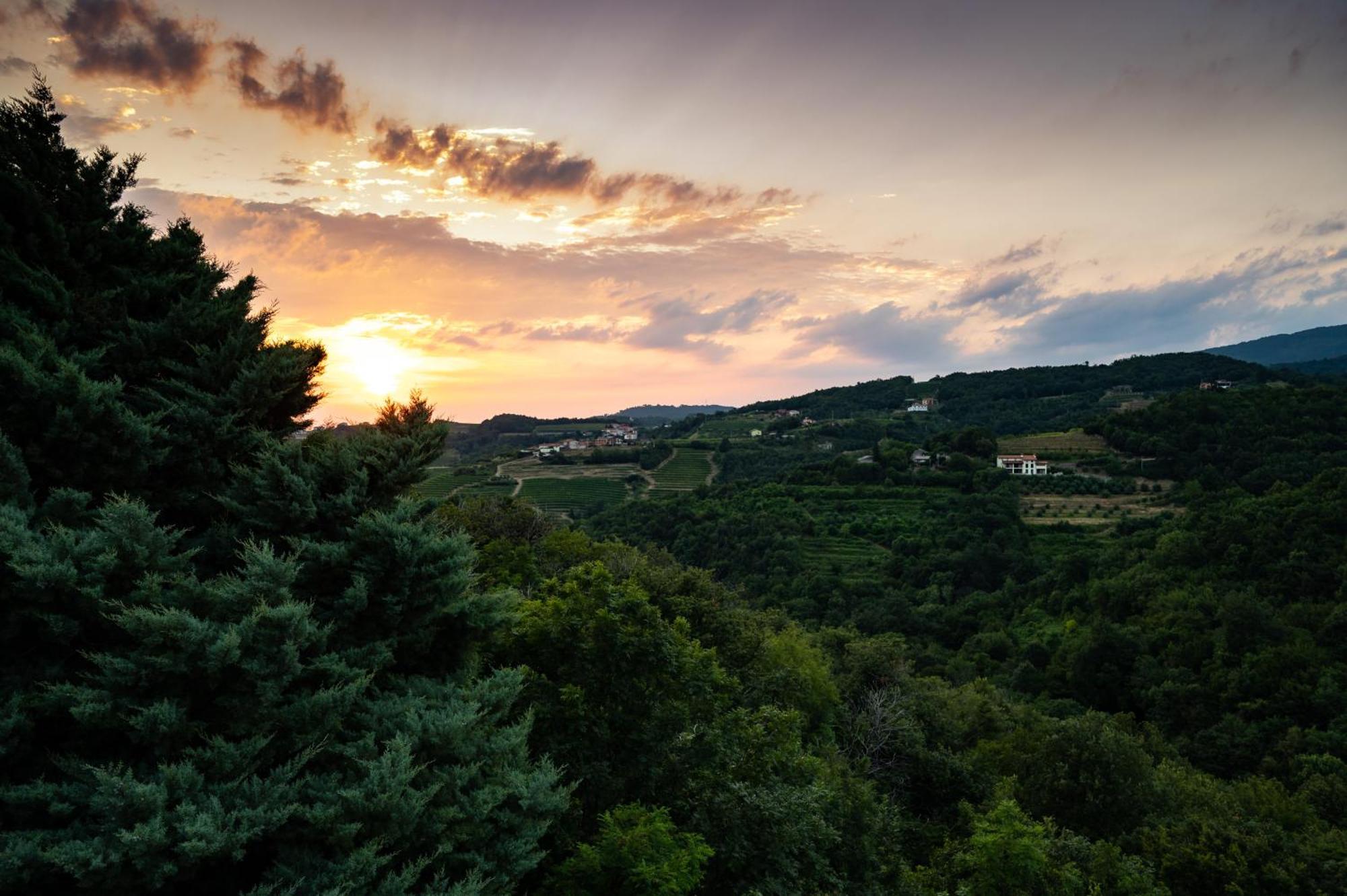 Apartment Zarova With Wine Tasting Experience Kojsko